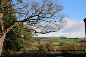 A Personal Perspective: Wales 2015 11 13 at 07 15 28 300x200 - A Personal Perspective: Wales