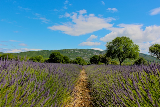 Wander the Ardèche With Us! 2016 06 19 at 05 59 07 1 - Wander the Ardèche With Us!