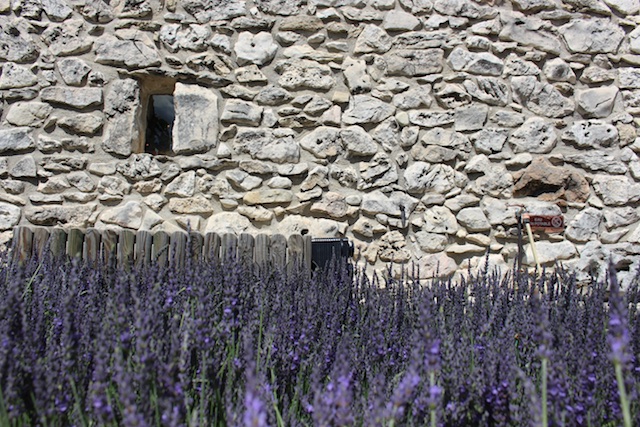 Wander the Ardèche With Us! 2016 06 19 at 06 35 57 - Wander the Ardèche With Us!