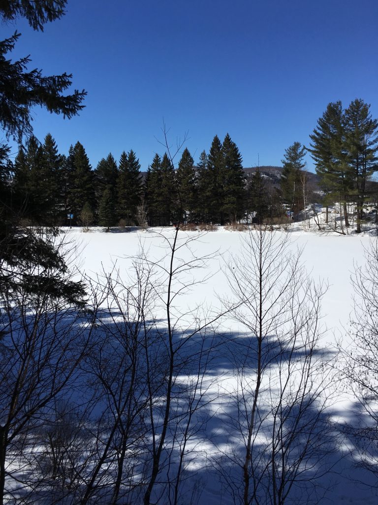 Enjoy Tremblant in All Seasons! IMG 5549 e1493063229918 768x1024 - Enjoy Tremblant in All Seasons!