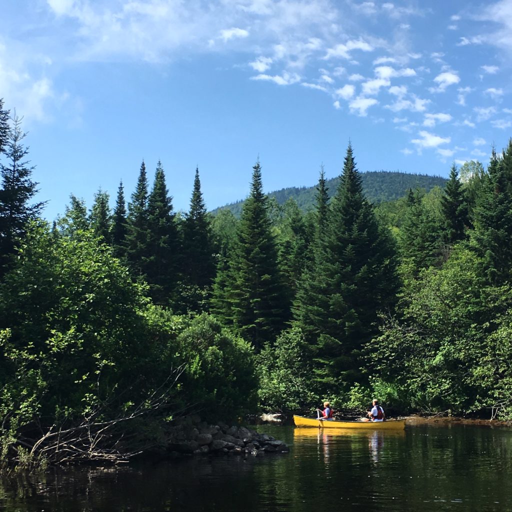Enjoy Tremblant in All Seasons! IMG 7325 1024x1024 - Enjoy Tremblant in All Seasons!