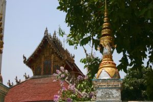 On the Ground in Phuket. Some Advice untitled 1 1 300x200 - On the Ground in Phuket. Some Advice
