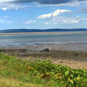 28 Pictures to Make You Return to Nova Scotia IMG 1684 300x300 - 28 Pictures to Make You Return to Nova Scotia