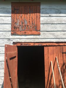 28 Pictures to Make You Return to Nova Scotia IMG 1841 e1532283607549 225x300 - 28 Pictures to Make You Return to Nova Scotia