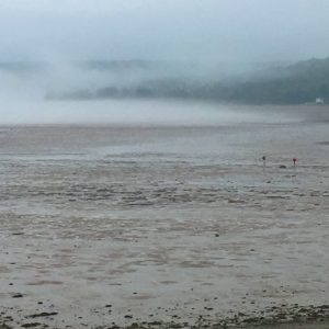 28 Pictures to Make You Return to Nova Scotia IMG 1858 300x300 - 28 Pictures to Make You Return to Nova Scotia