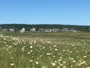 28 Pictures to Make You Return to Nova Scotia IMG 1884 300x225 - 28 Pictures to Make You Return to Nova Scotia