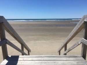 28 Pictures to Make You Return to Nova Scotia IMG 1886 300x225 - 28 Pictures to Make You Return to Nova Scotia