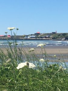 28 Pictures to Make You Return to Nova Scotia IMG 1895 e1532283640594 225x300 - 28 Pictures to Make You Return to Nova Scotia