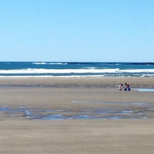 28 Pictures to Make You Return to Nova Scotia IMG 1925 300x300 - 28 Pictures to Make You Return to Nova Scotia